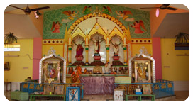 Plants: image 2 0f 4 thumb