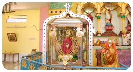 Plants: image 2 0f 4 thumb